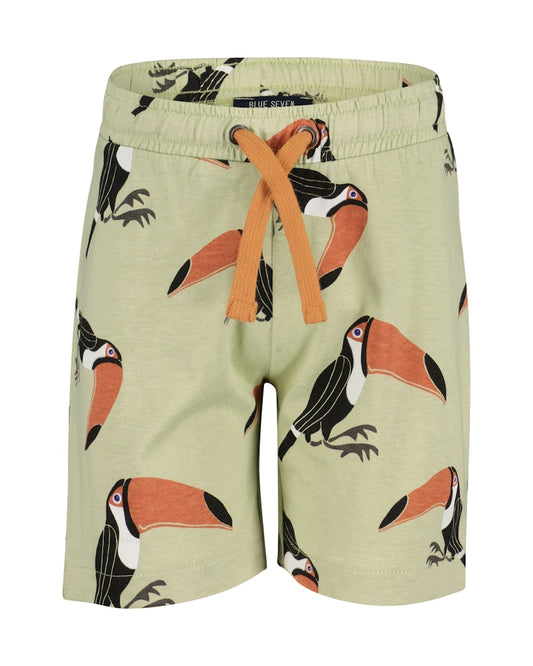 Boys T-Shirt and Shorts Set