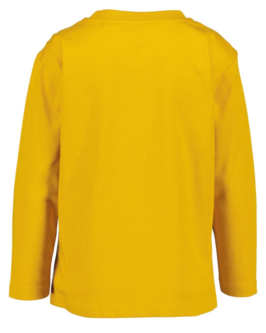 boys T-Shirt