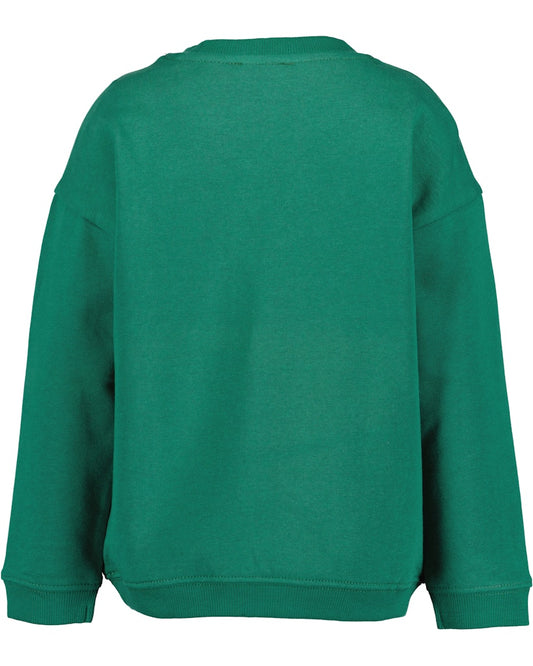 boys sweatshirt
