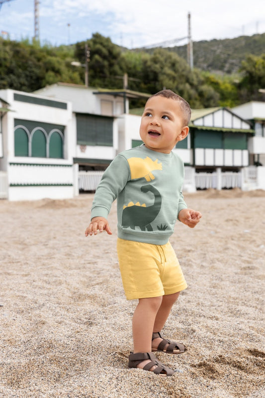 Toddler Boys Shorts