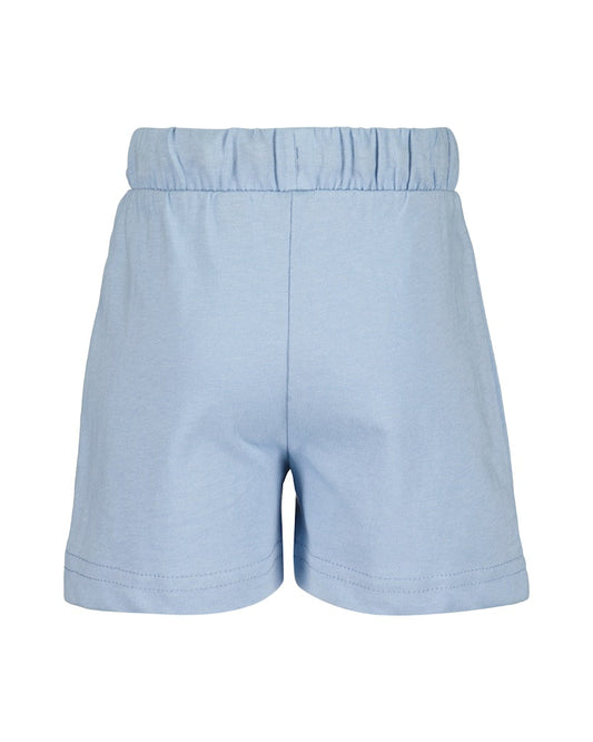 Toddler Boys Shirt & Shorts Set
