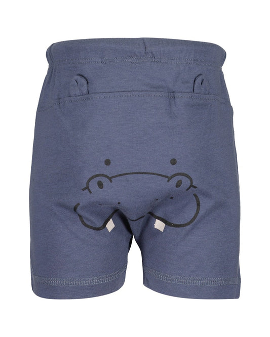 Toddler Boys Shirt & Shorts Set