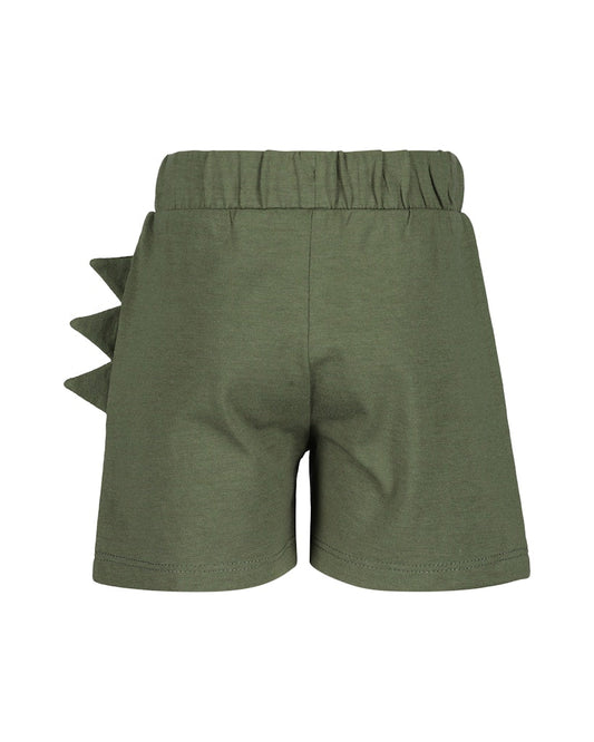 Toddler Boys Shirt & Shorts Set
