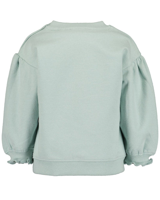 Toddler girls sweatshirt