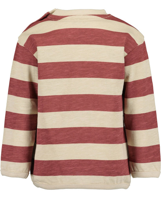 Toddler boys Shirt