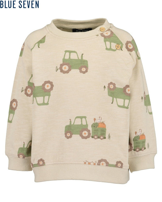 Toddler boys sweatshirt