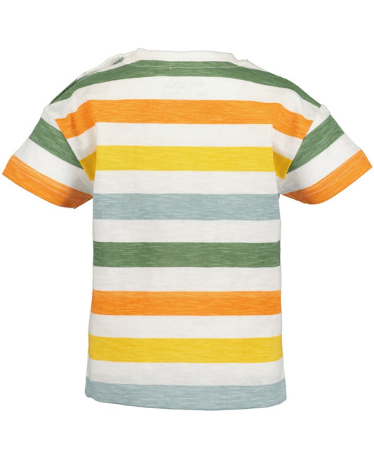Mini boys knitted shirt