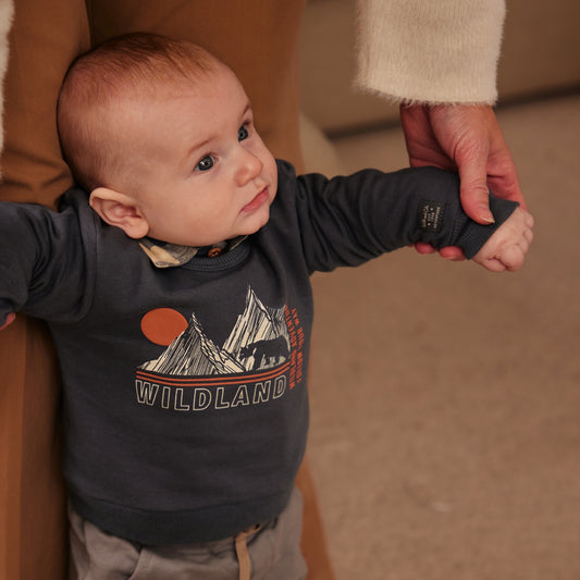 Boys Wildland Graphic Cotton Sweater – Navy