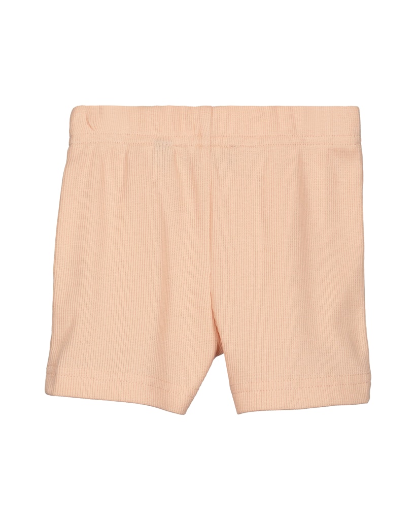 Baby girl shirt and shorts