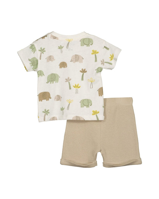 Baby boys shirt and shorts