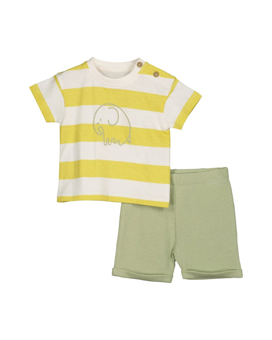 Baby boys shirt and shorts