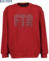 boys sweatshirt
