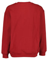boys sweatshirt