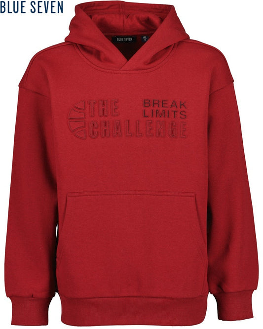 boys sweatshirt