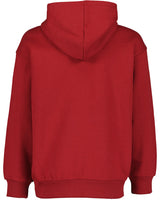 boys sweatshirt
