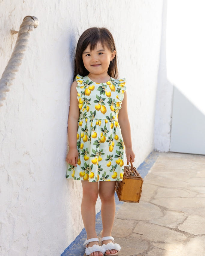 Girls Dress