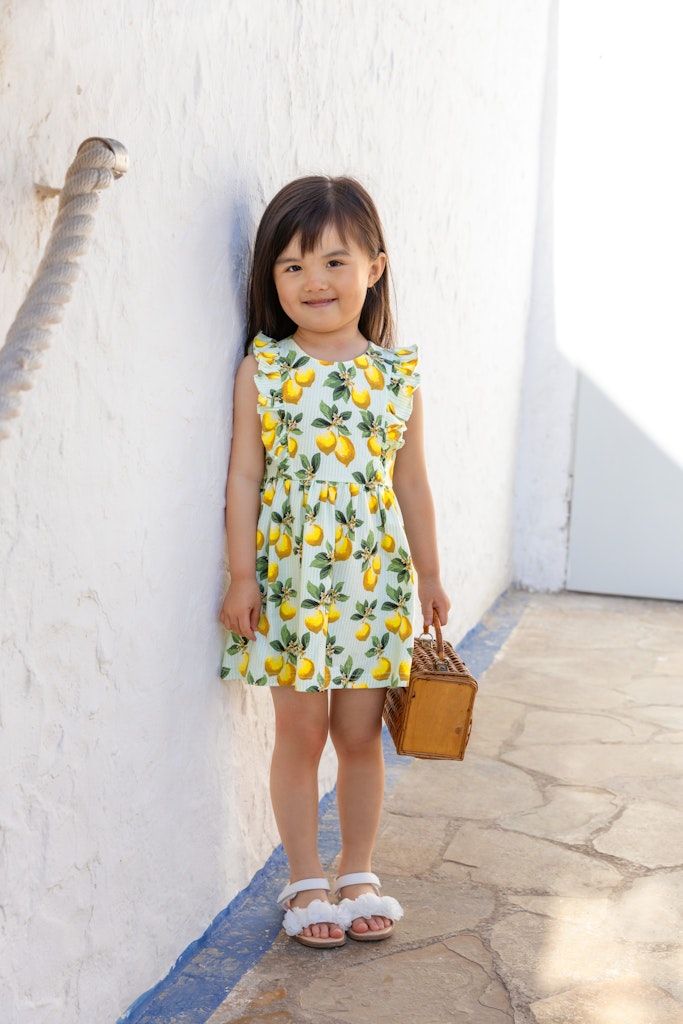 Girls Dress