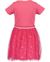 Girls Dress with Tulle Skirt