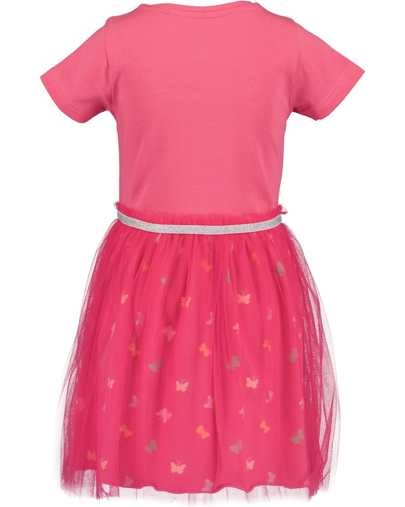 Girls Dress with Tulle Skirt