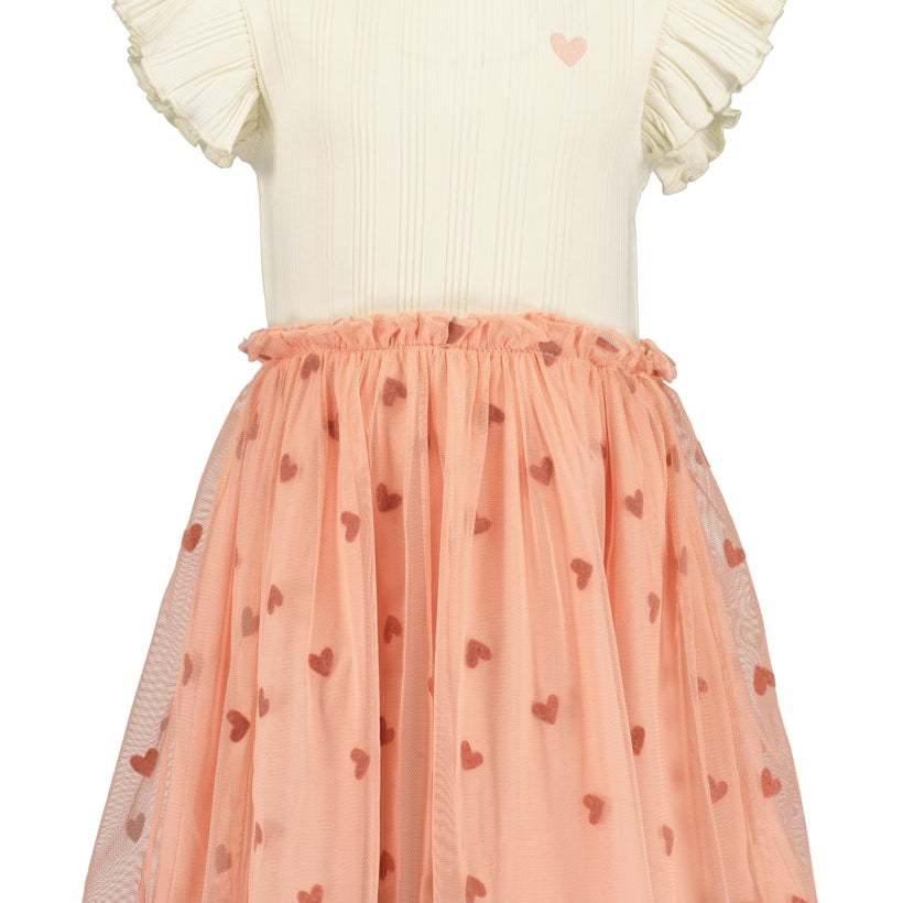 Girls Dress with Tulle Skirt
