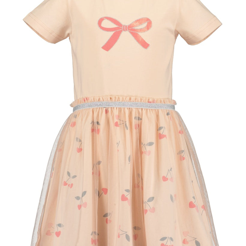 Girls Dress with Tulle Skirt