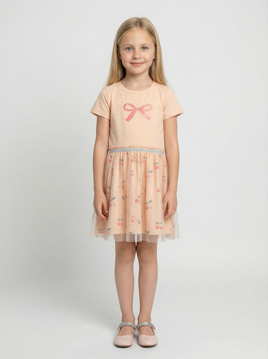 Girls Dress with Tulle Skirt
