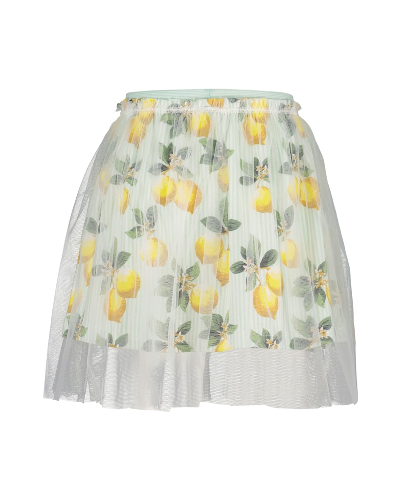Girls T-Shirt and Tulle Skirt Set
