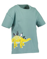 Boys T-Shirt