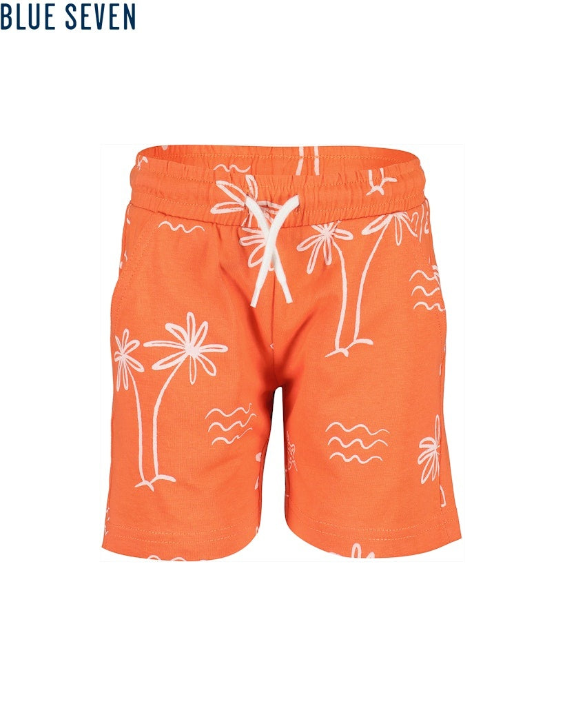 boys knitted shorts