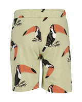 Boys T-Shirt and Shorts Set