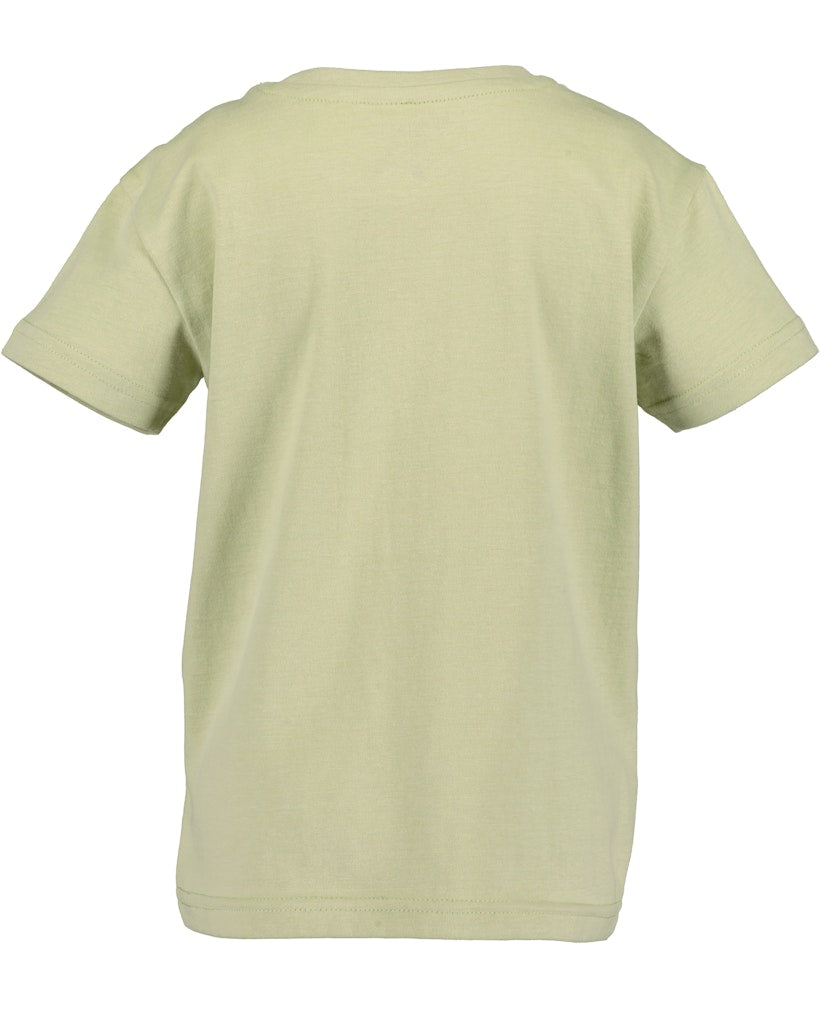 Boys T-Shirt and Shorts Set