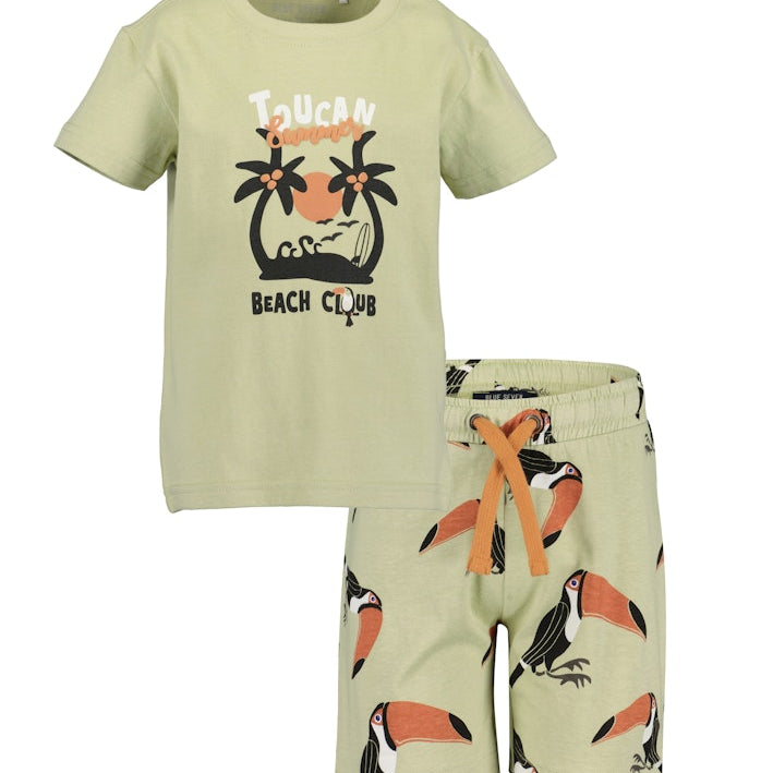 Boys T-Shirt and Shorts Set