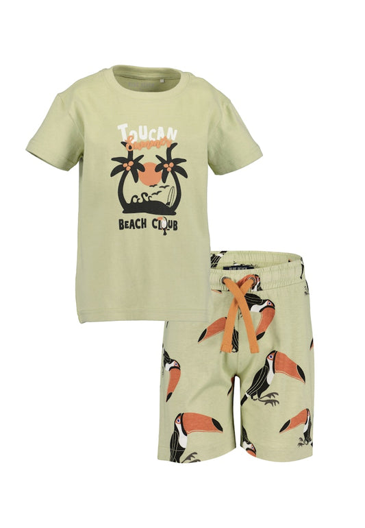Boys T-Shirt and Shorts Set