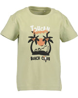 Boys T-Shirt and Shorts Set