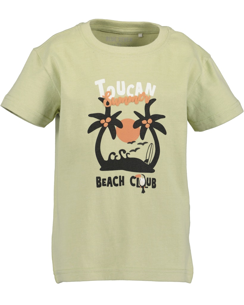 Boys T-Shirt and Shorts Set