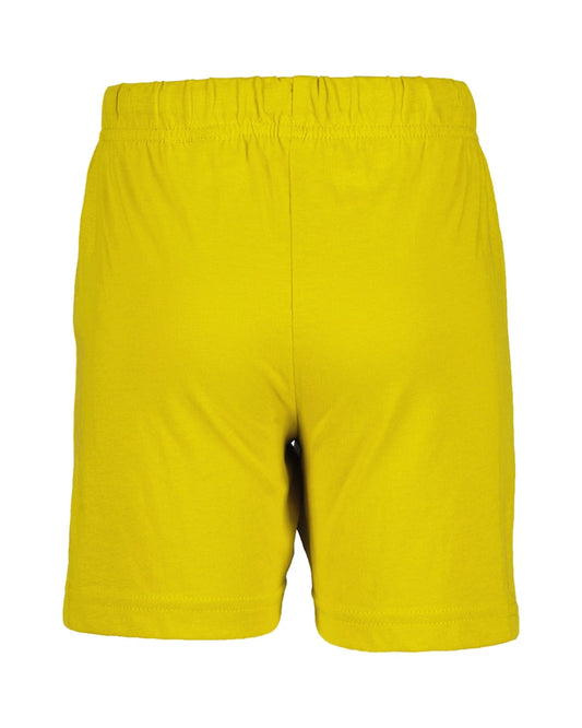 Boys T-Shirt and Shorts Set