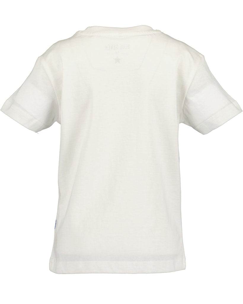 Boys T-Shirt and Shorts Set