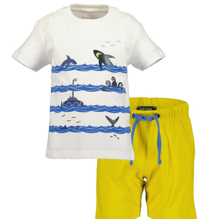 Boys T-Shirt and Shorts Set