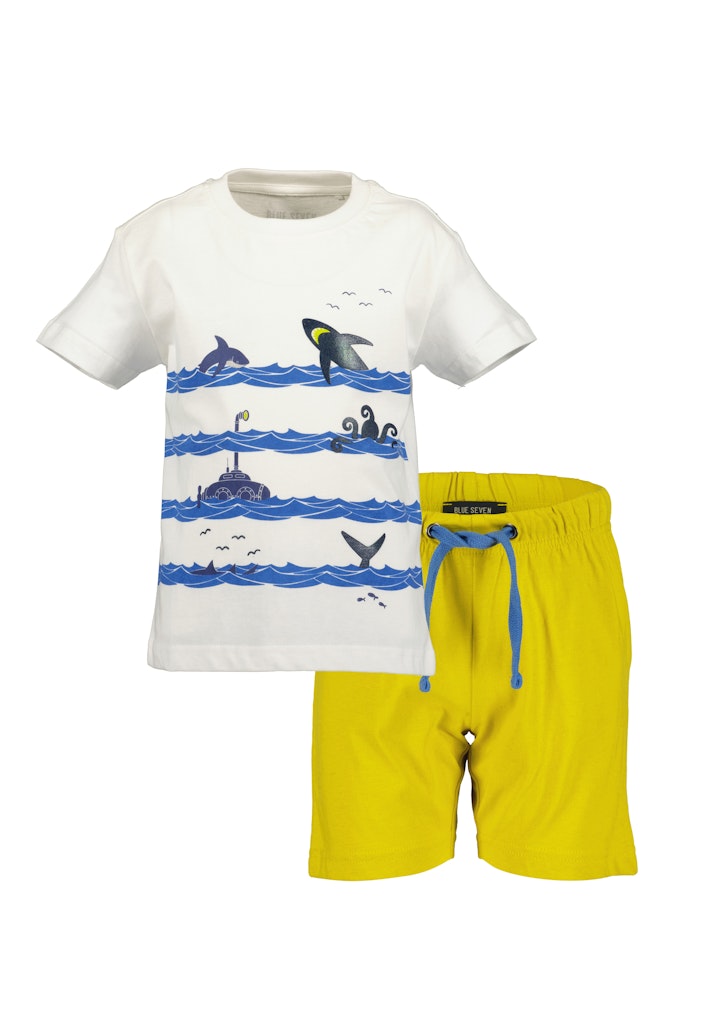Boys T-Shirt and Shorts Set