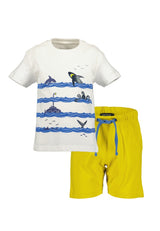 Boys T-Shirt and Shorts Set