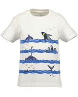 Boys T-Shirt and Shorts Set