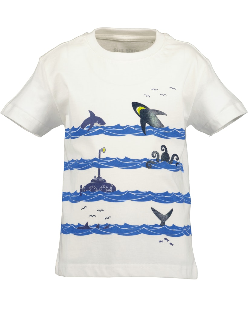 Boys T-Shirt and Shorts Set