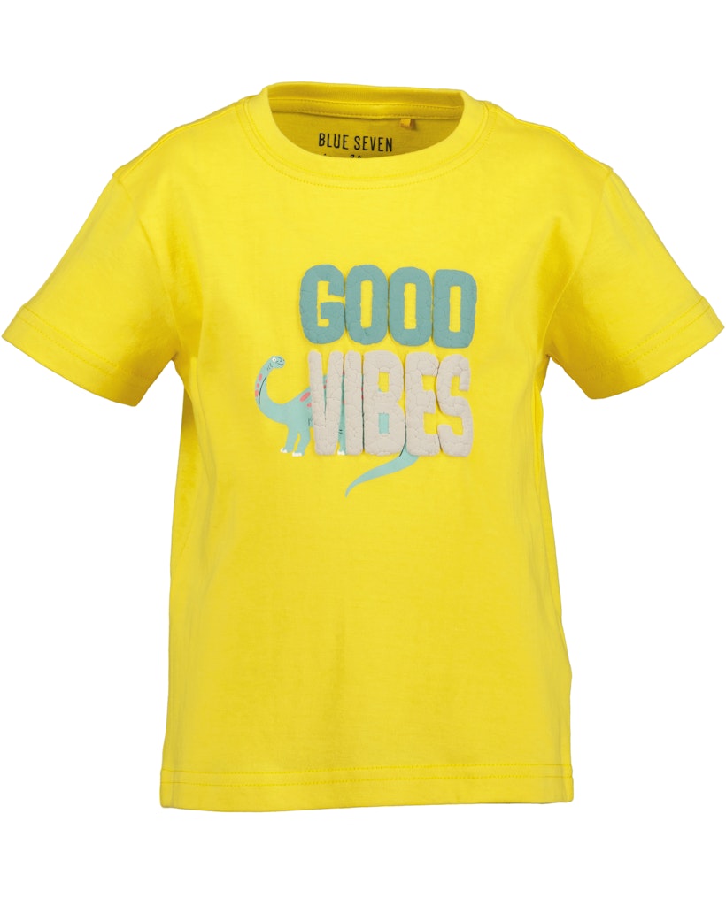 boys T-shirt and shorts