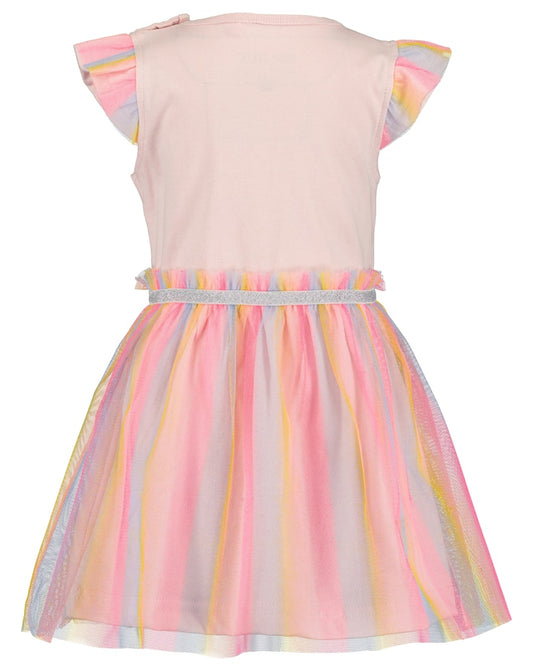 Toddler Girls Dress with Tulle Skirt