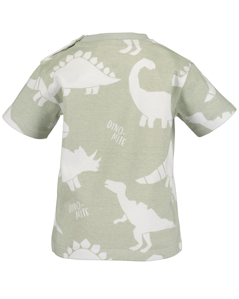 Toddler Boys T-Shirt