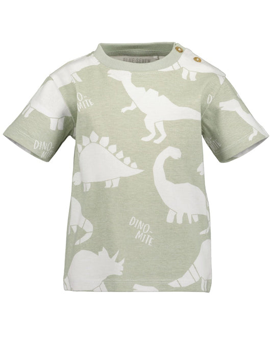 Toddler Boys T-Shirt
