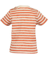 Toddler Boys Shirt & Shorts Set