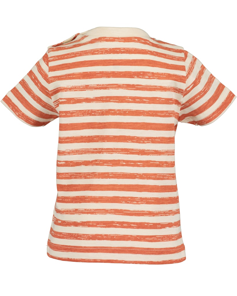 Toddler Boys Shirt & Shorts Set