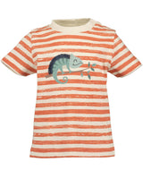 Toddler Boys Shirt & Shorts Set