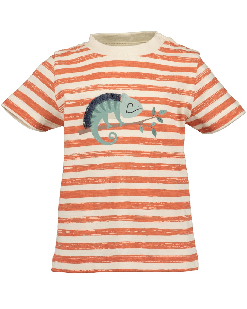 Toddler Boys Shirt & Shorts Set